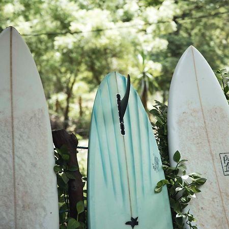Mola Mola Surf Popoyo Bed & Breakfast エクステリア 写真