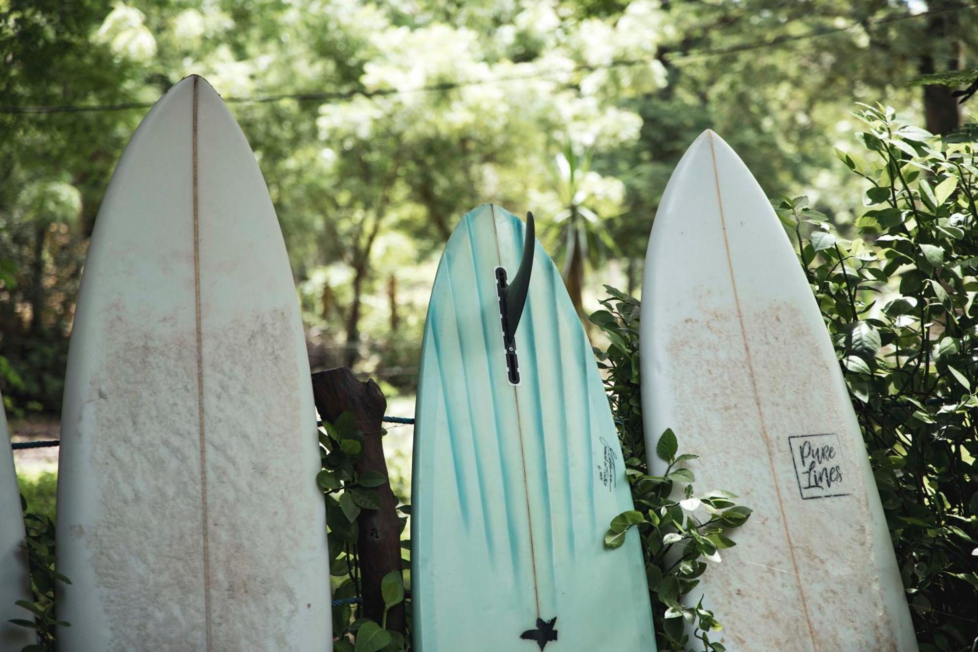 Mola Mola Surf Popoyo Bed & Breakfast エクステリア 写真
