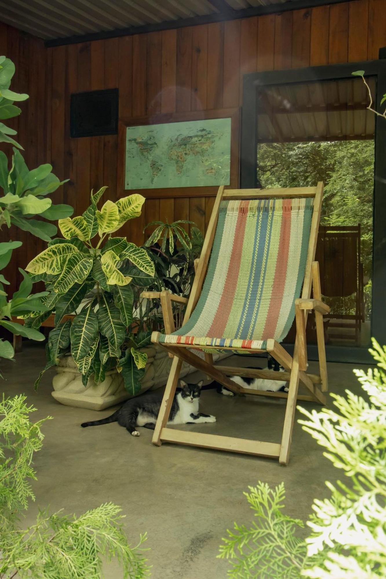 Mola Mola Surf Popoyo Bed & Breakfast エクステリア 写真