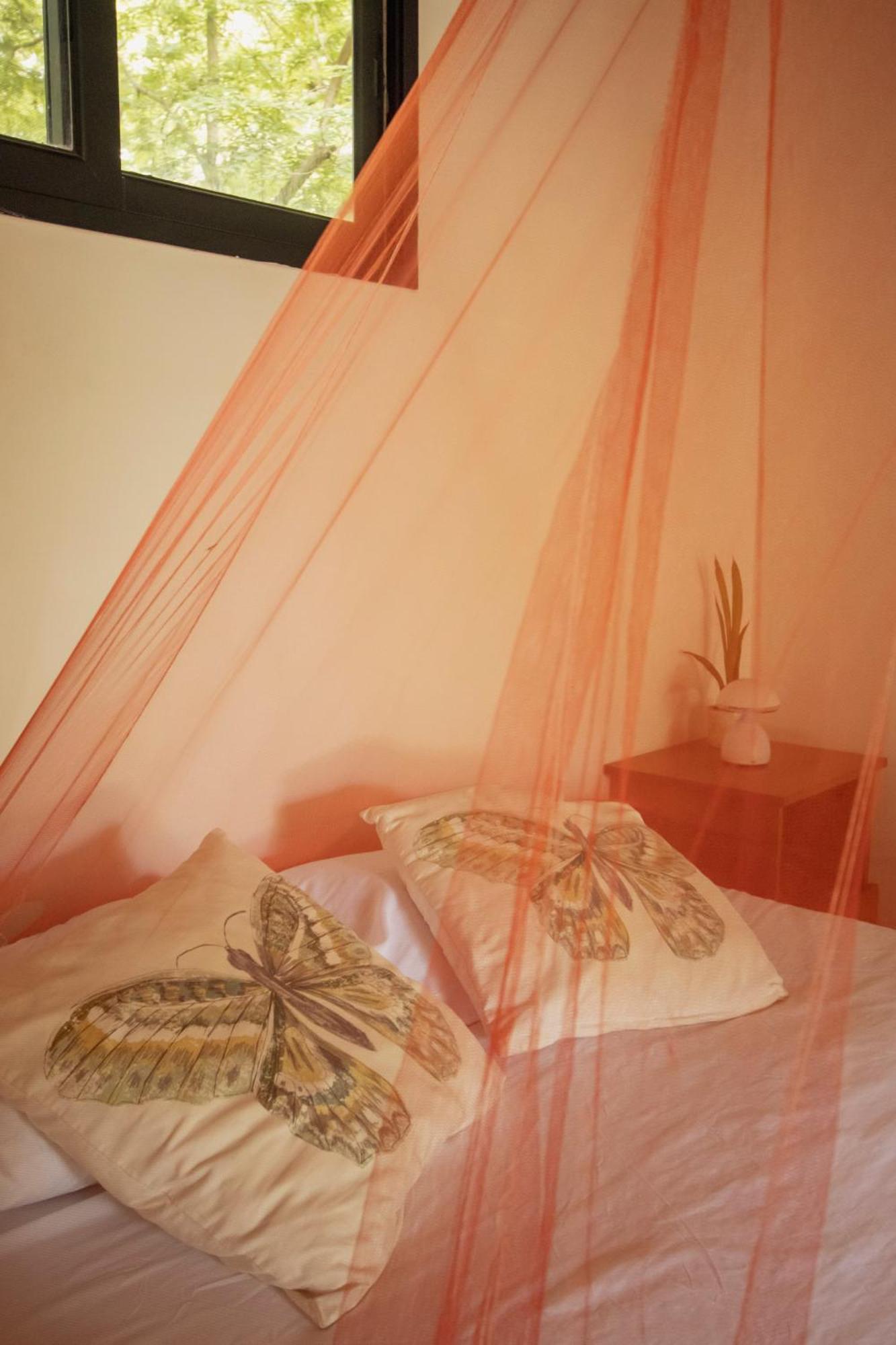 Mola Mola Surf Popoyo Bed & Breakfast エクステリア 写真